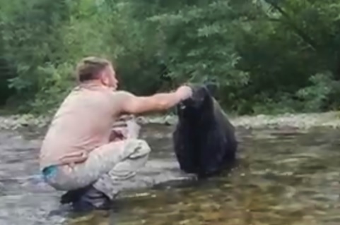 Dà da mangiare a un orso a mani nude: quando si distrae un attimo rischia grosso