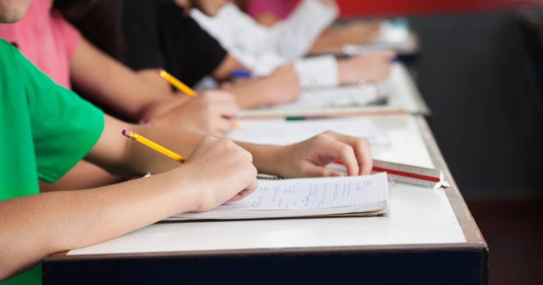 Addio ai 24 cfu, non valgono più come requisito di accesso: abilitazione o tre anni di servizio, ma quello in corso è escluso